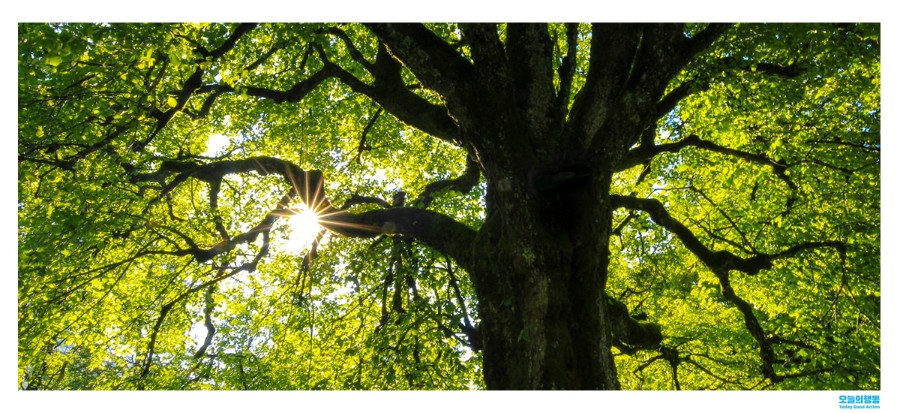 dfcb2b1e04c1ab061f57e1f3382a04da_1615632330_2129.jpg dfcb2b1e04c1ab061f57e1f3382a04da_1615632330_2129.jpg