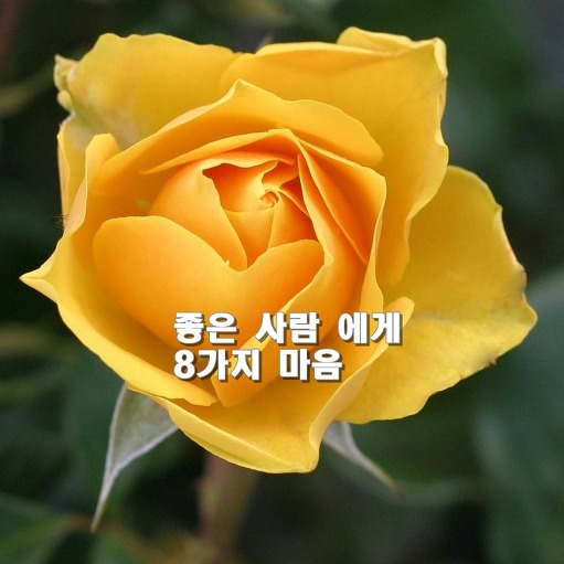 f035b4a25dcf99bc64acb69a4587dd3b_1665985366_372.jpg f035b4a25dcf99bc64acb69a4587dd3b_1665985366_372.jpg