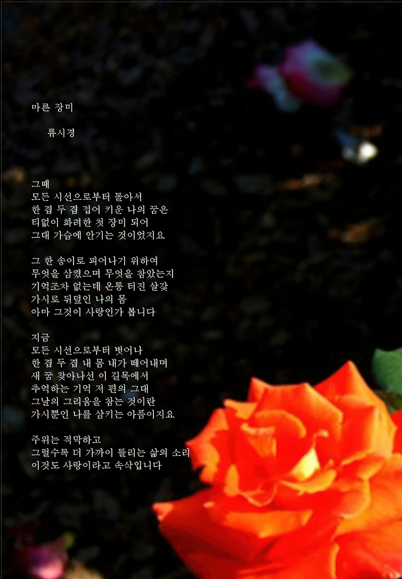 f8e97df4e3314fd0ea8c79a9d9ce4281_1676036590_1239.jpg f8e97df4e3314fd0ea8c79a9d9ce4281_1676036590_1239.jpg