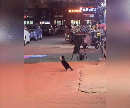 38a73bd9f97bc7864679284ed3d3b74a_1702429547_7917.gif 38a73bd9f97bc7864679284ed3d3b74a_1702429547_7917.gif