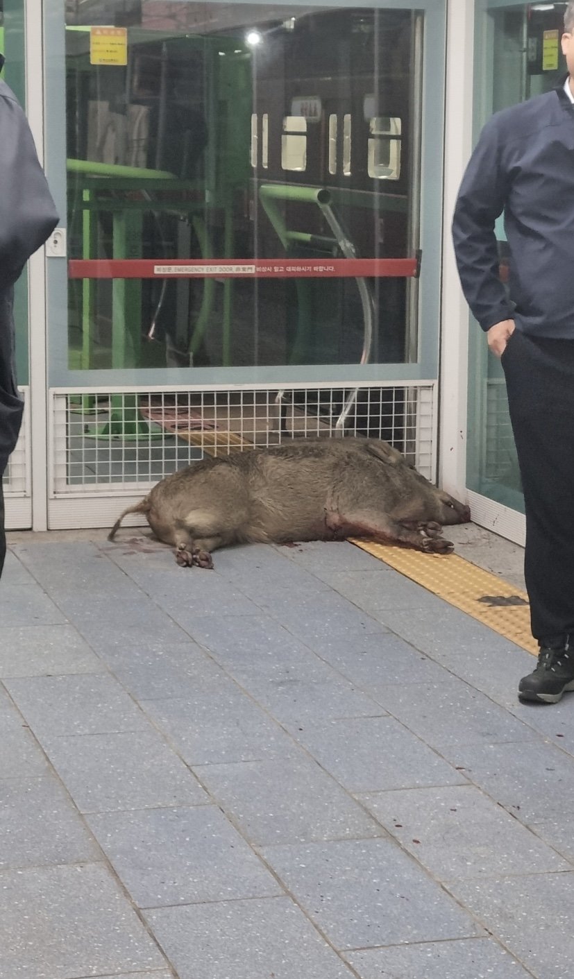 8c18e1fc8fe8e35e006184077396fb02_1730257802_6422.jpeg 8c18e1fc8fe8e35e006184077396fb02_1730257802_6422.jpeg