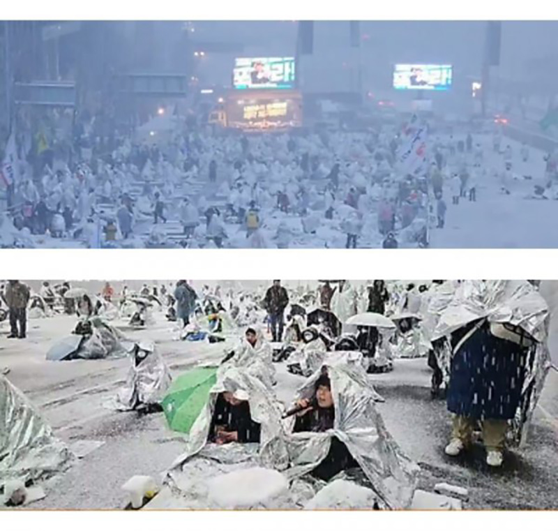 eca1781127e8d6a0988b7db6dd206386_1736049665_5944.jpg eca1781127e8d6a0988b7db6dd206386_1736049665_5944.jpg