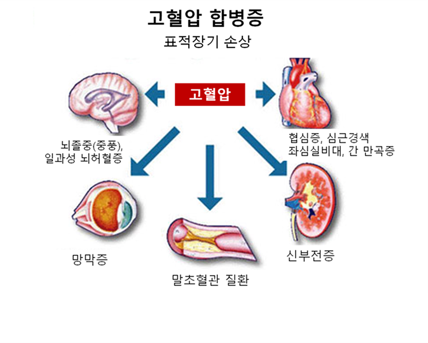 b39ba4d5cb597b47ba056e300e6d8c0c_1753277411_0339.png b39ba4d5cb597b47ba056e300e6d8c0c_1753277411_0339.png